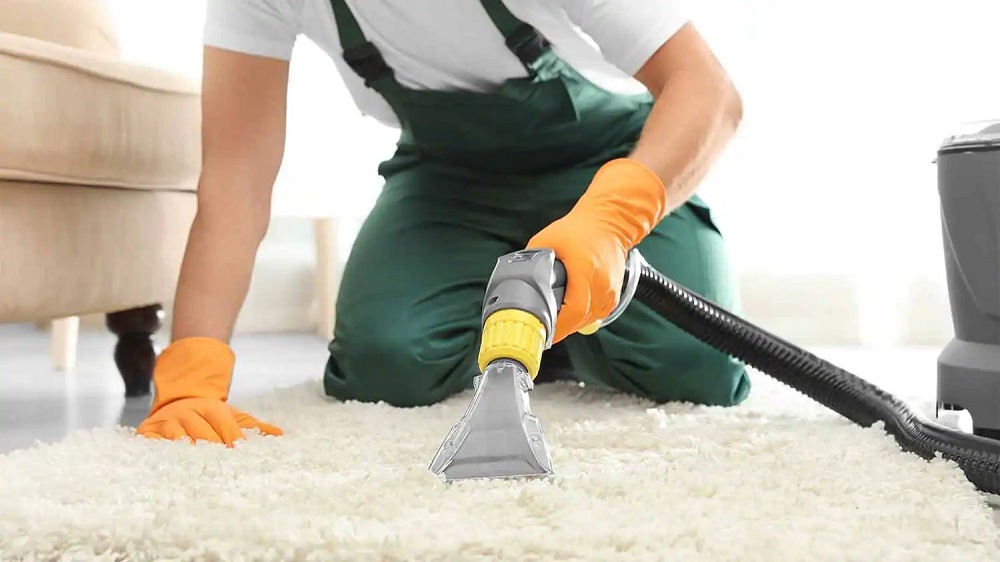 Emergency Carpet Cleaning: What to Do When Accidents Happen in Edmonton