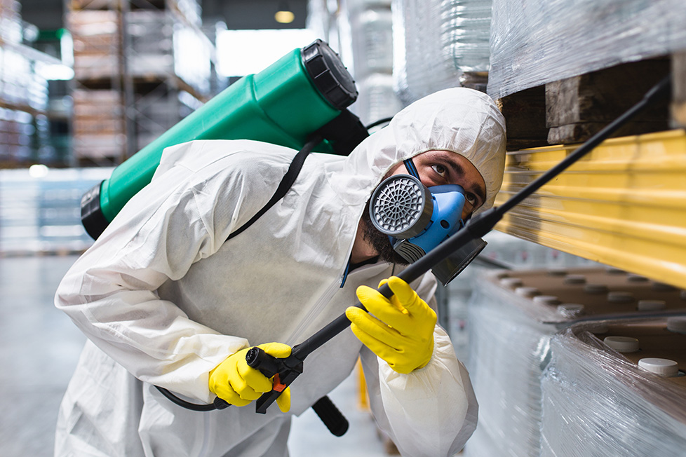 Possible Dangers Pest Control Methods 