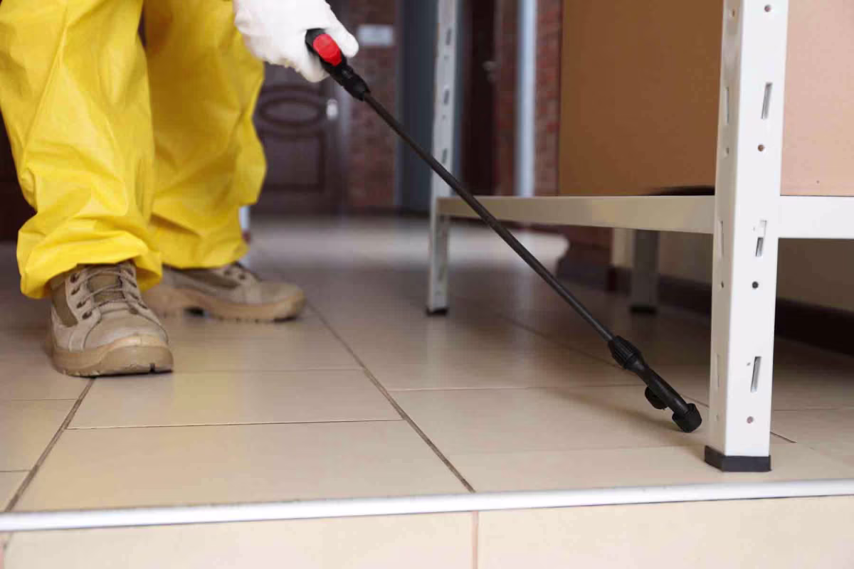Why Do You Need a Pest Exterminator in St. Louis?