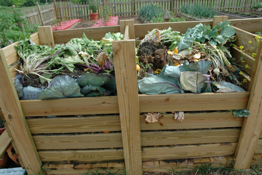 How Outdoor Composting in Vancouver Can Spark Rodent Invasions