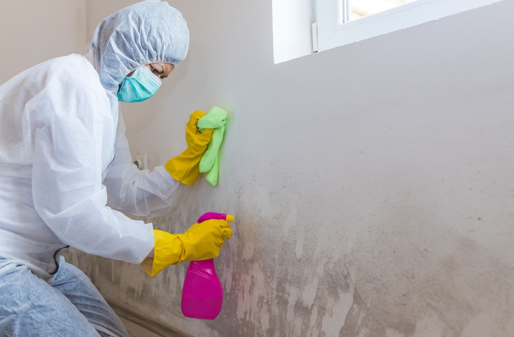 Mold Remediation in Atlanta GA – The Complete Guide for 2026