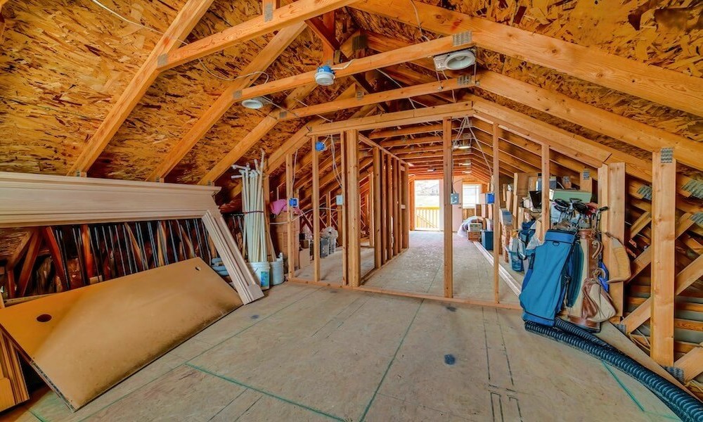 How to Handle Unwanted Wildlife in Attics